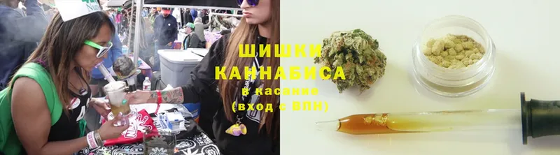 Бошки Шишки LSD WEED  кракен зеркало  Курчалой 